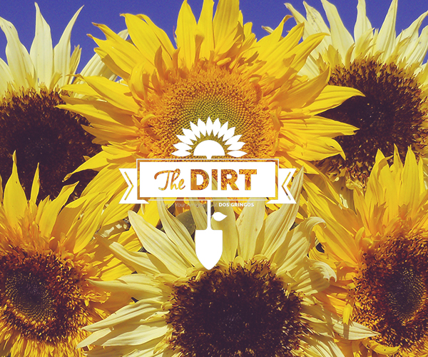 The Dirt - Flowers Make You Happy (True Story)