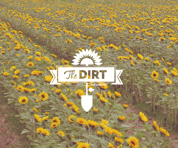 The Dirt - A Brief Intro.