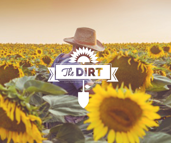 The Dirt - August 2015