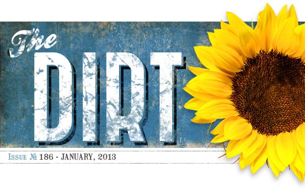 The Dirt - January 2013