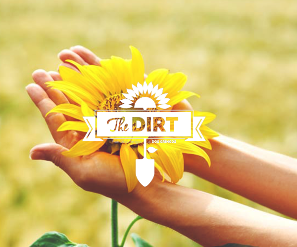The Dirt - How to display some happy