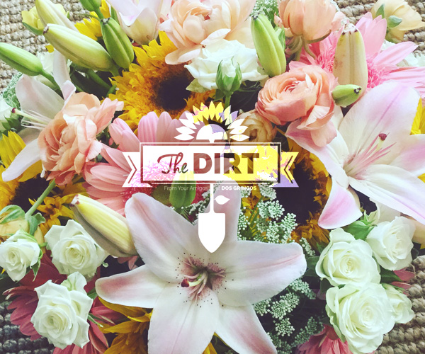 The Dirt - Well….. Mother’s Day?