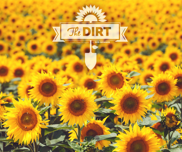 The Dirt - Meet The Tenors!