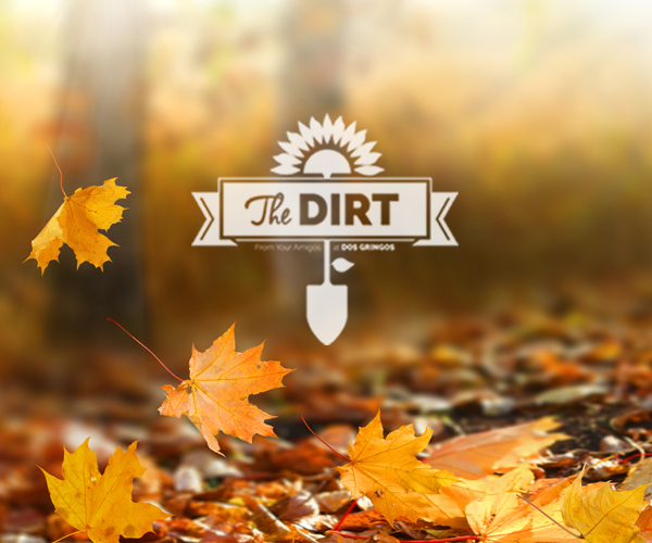 The Dirt - Autumn Is Like A Second Spring, When Every Leaf Is Like A Flower.