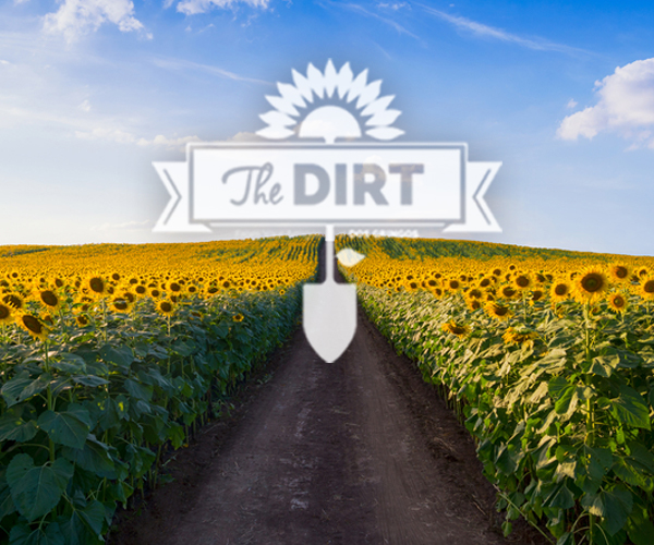 The Dirt - The Final Fall Stretch!